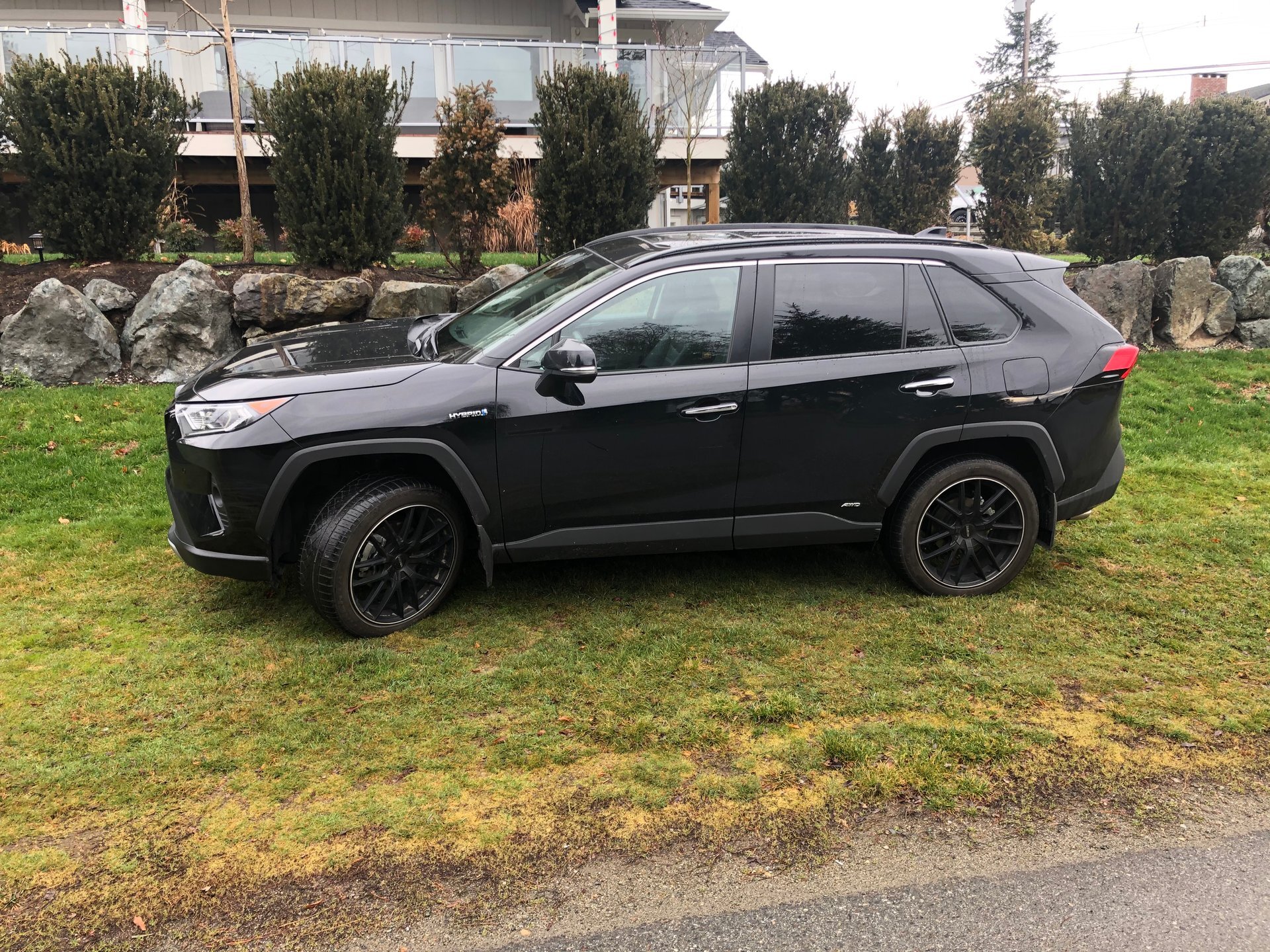 2019 Toyota RAV4 photo