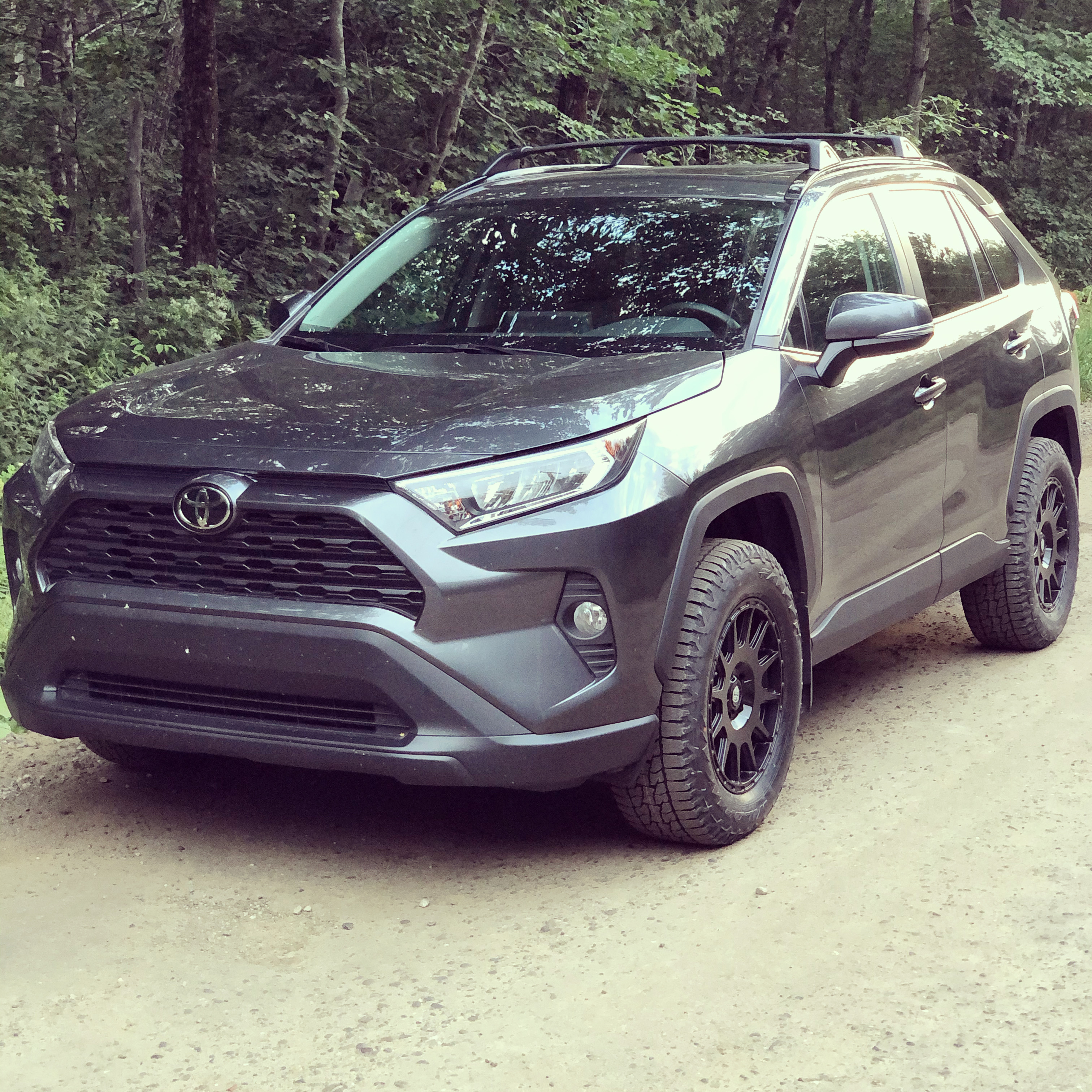 2019 Toyota RAV4 photo