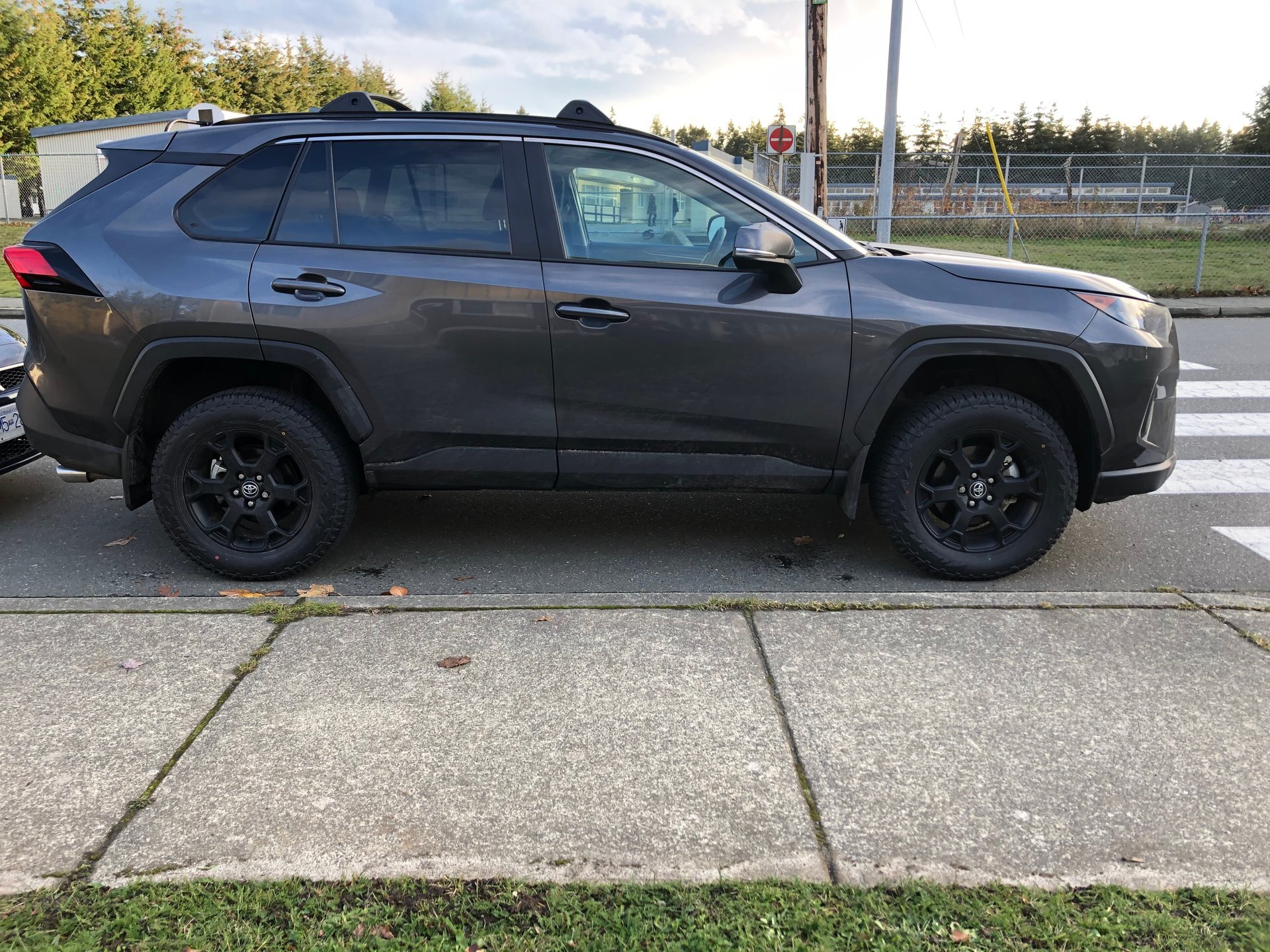 2019 Toyota RAV4 photo