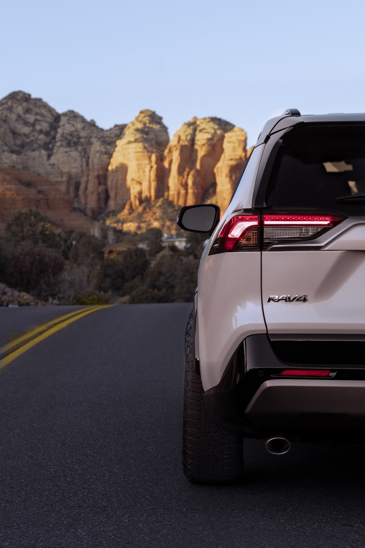 2020 Toyota RAV4 photo