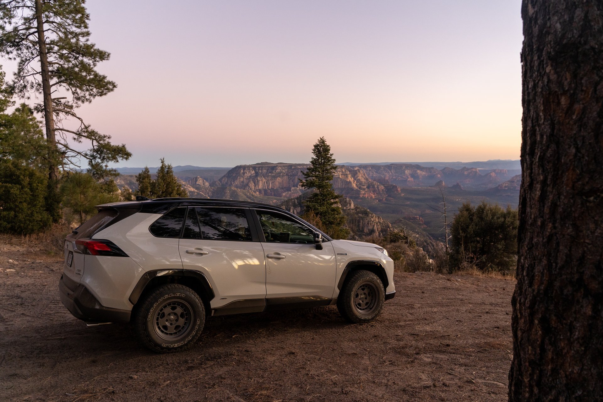 2020 Toyota RAV4 photo