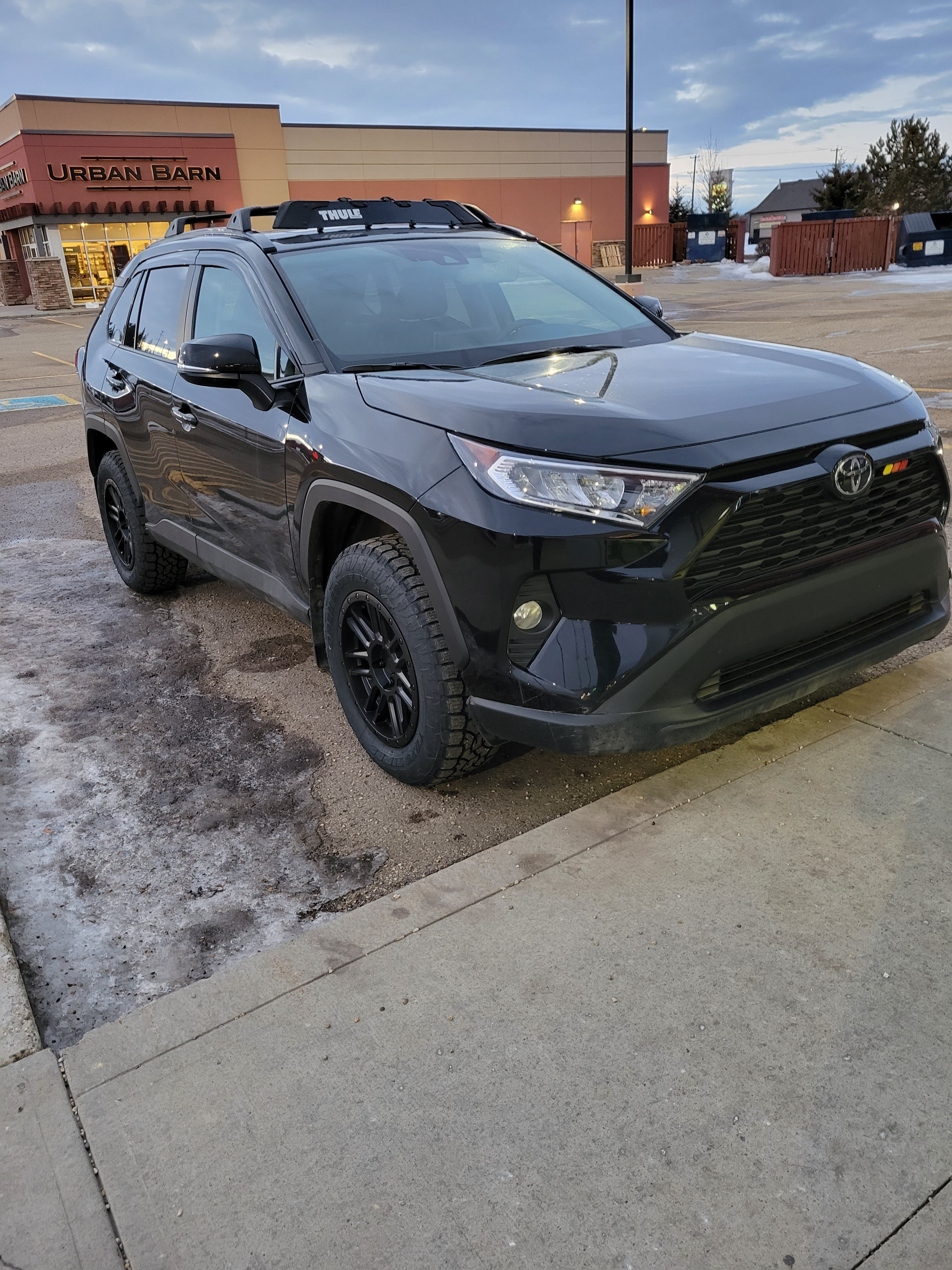 2019 Toyota RAV4 photo