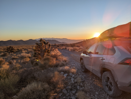 2021 Toyota RAV4 Hybrid