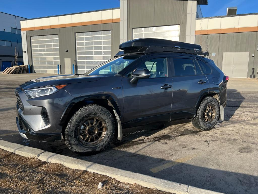 2020 Toyota RAV4 photo
