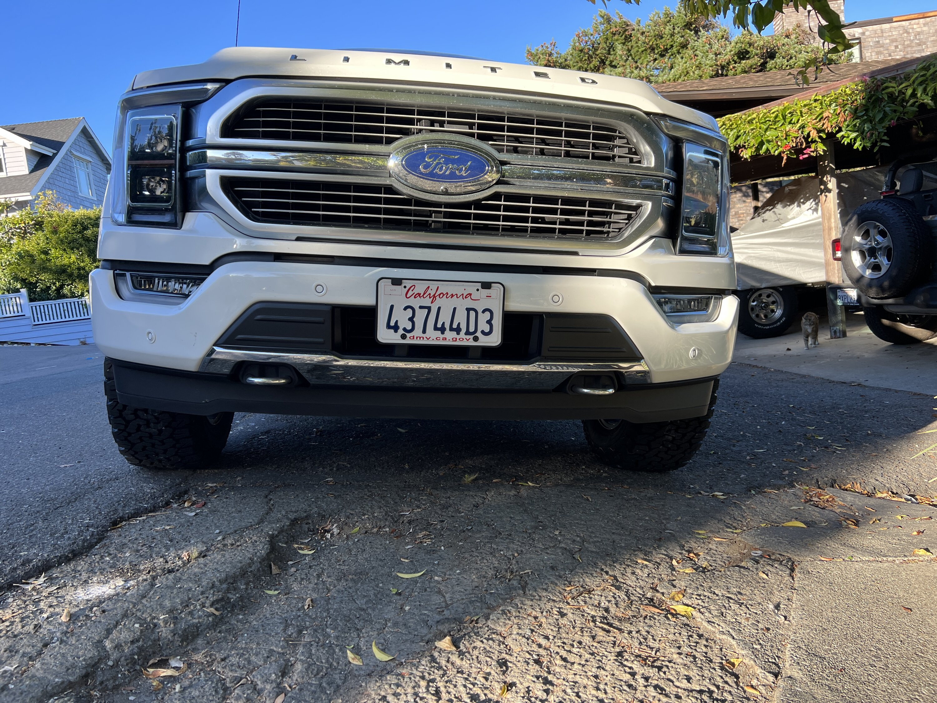 2021 Ford F-150 photo