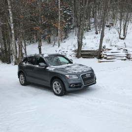 2015 Audi SQ5