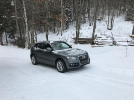 2015 Audi SQ5
