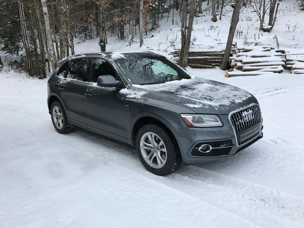2015 Audi SQ5 photo