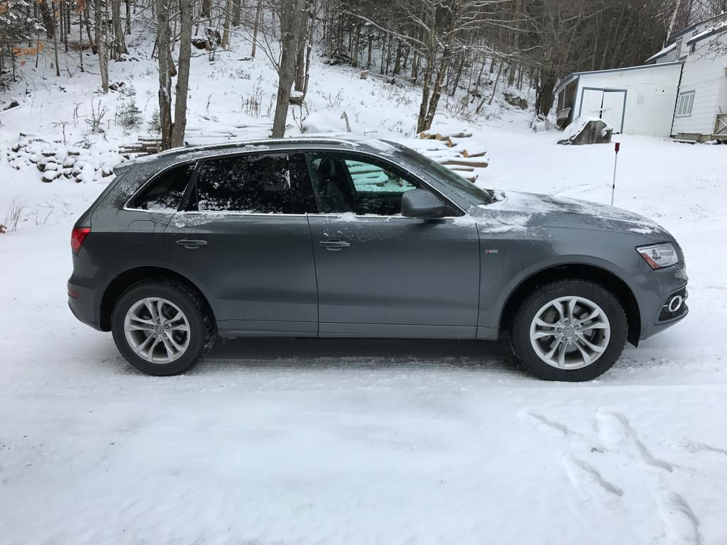 2015 Audi SQ5 photo