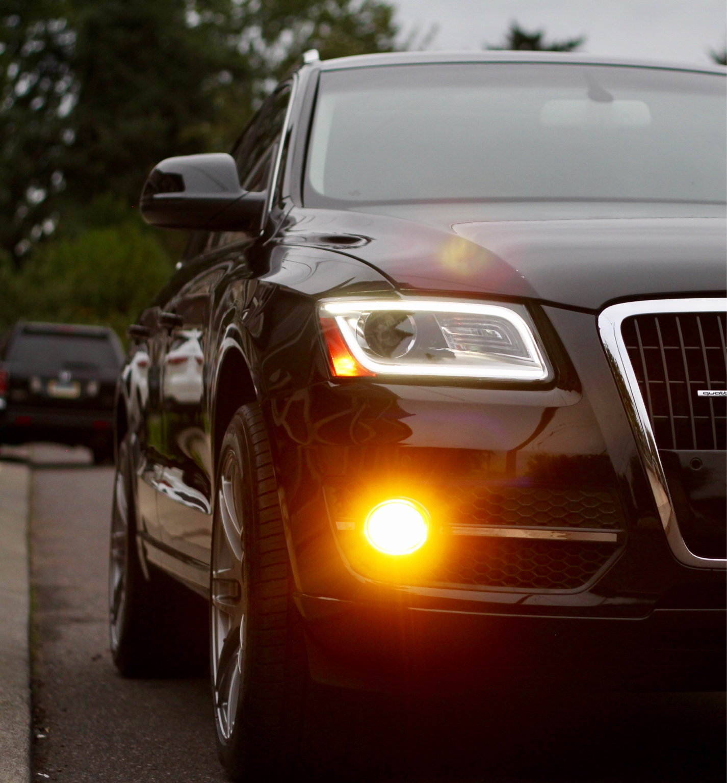 2015 Audi SQ5 photo
