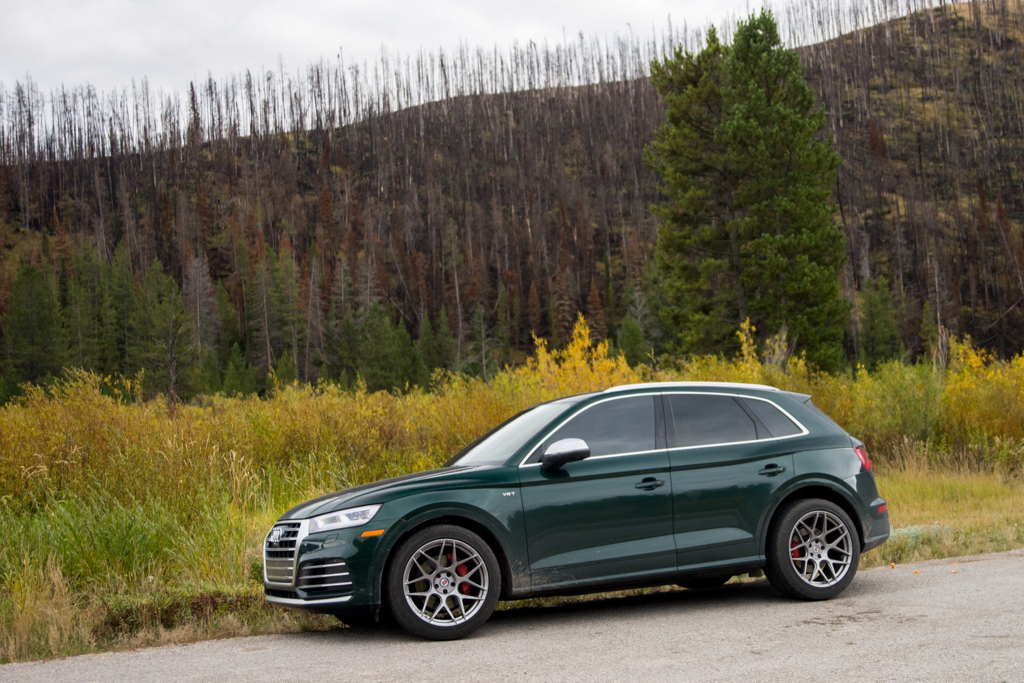 2017 Audi SQ5 photo