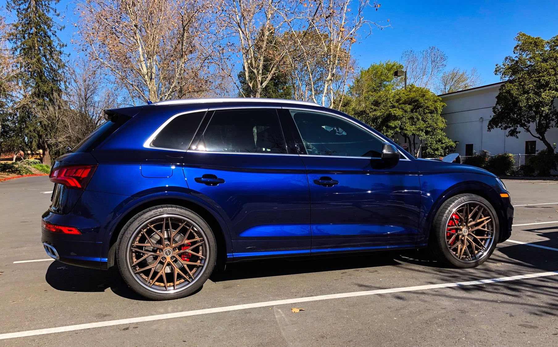 2016 Audi SQ5 photo