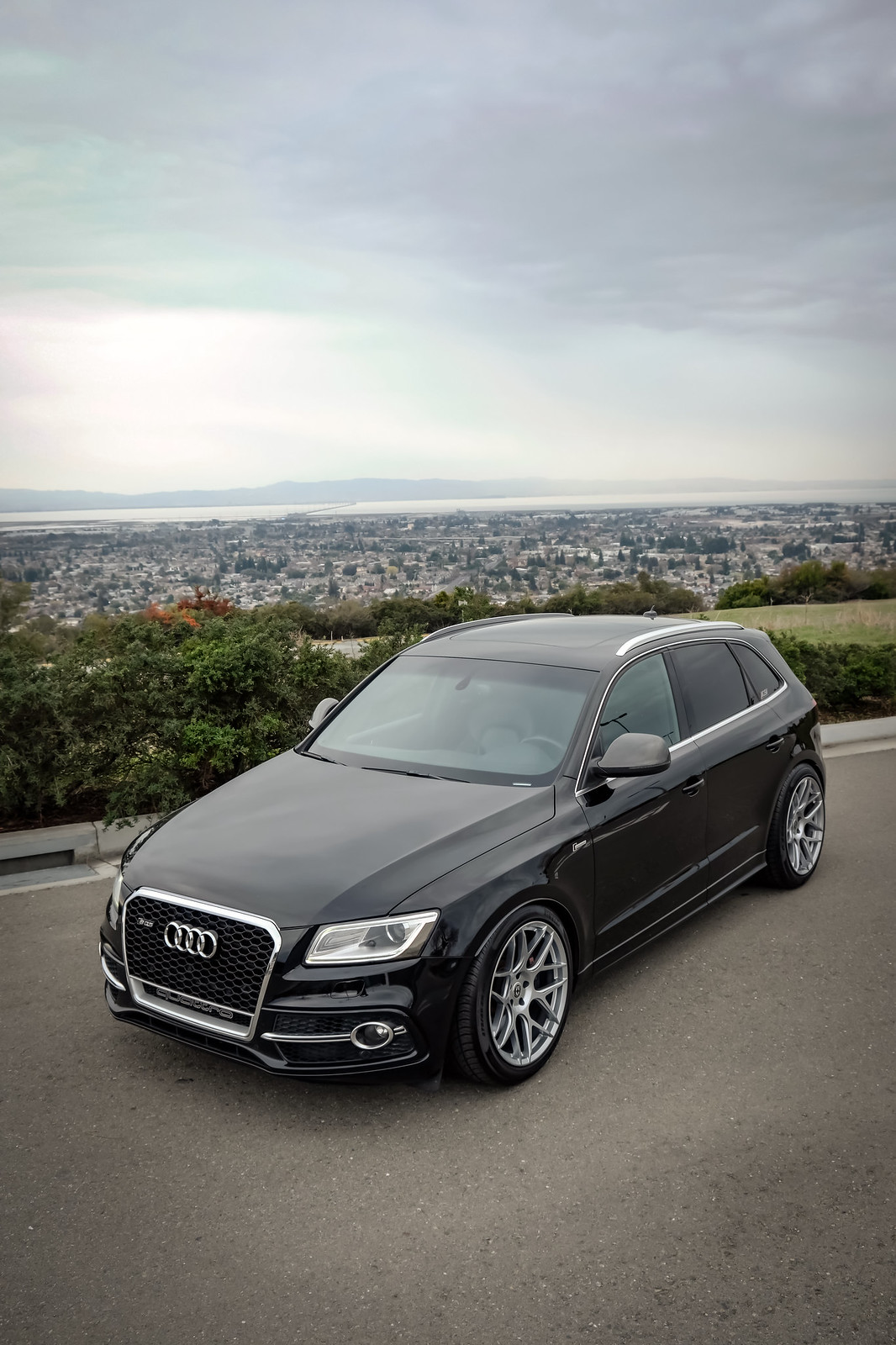 2016 Audi SQ5 photo
