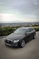 2016 Audi SQ5