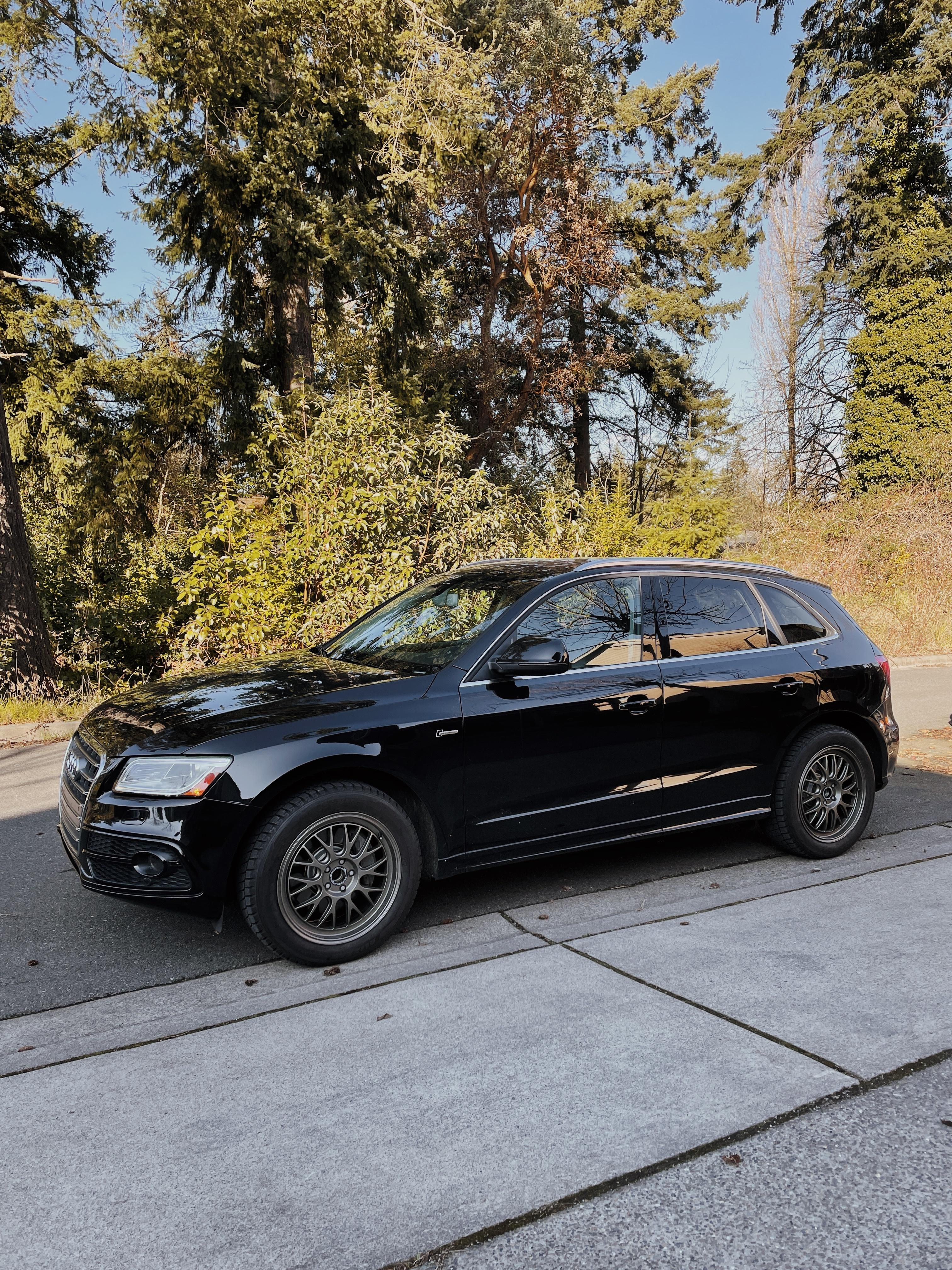 2016 Audi SQ5 photo