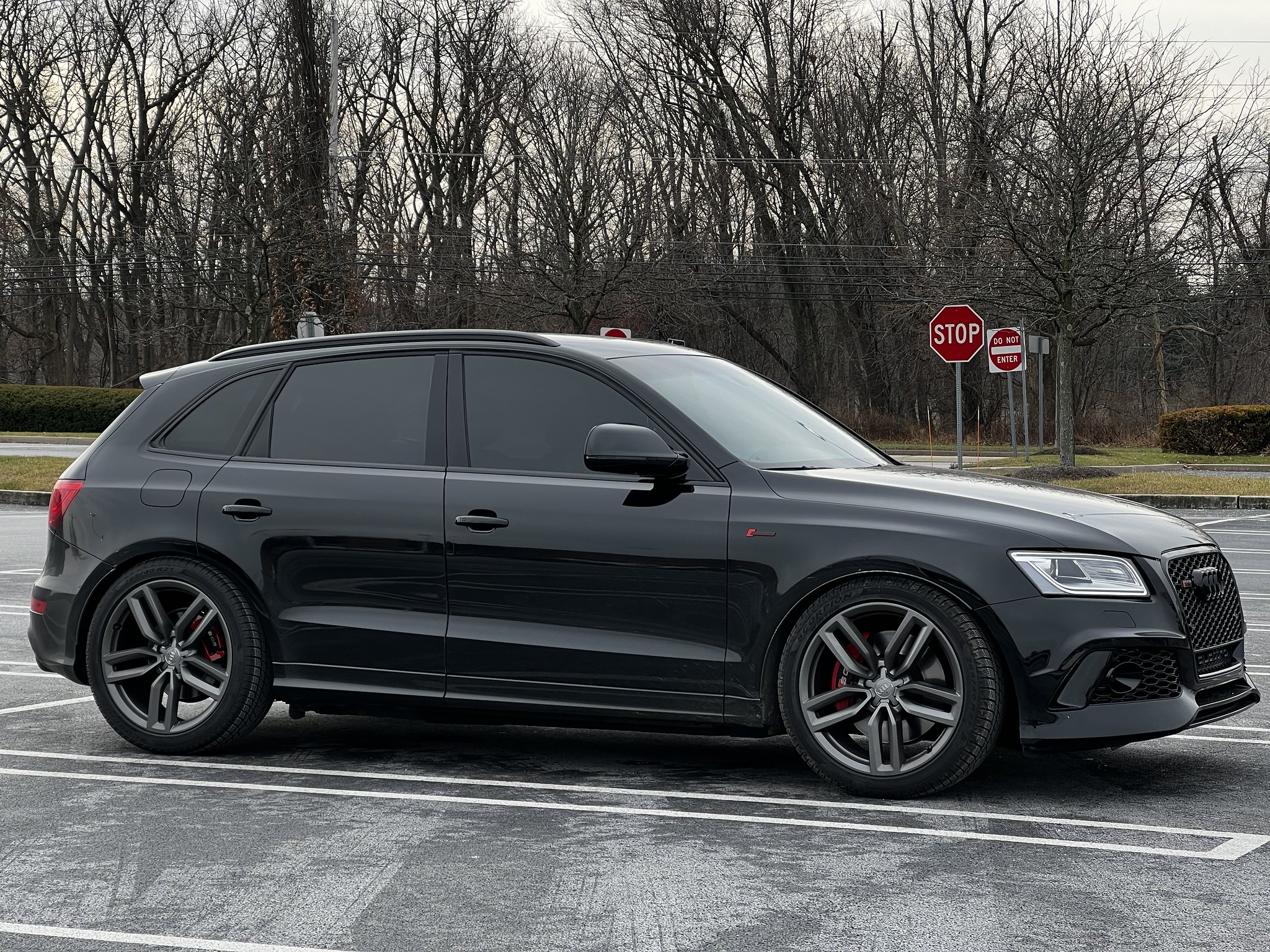 2016 Audi SQ5 photo