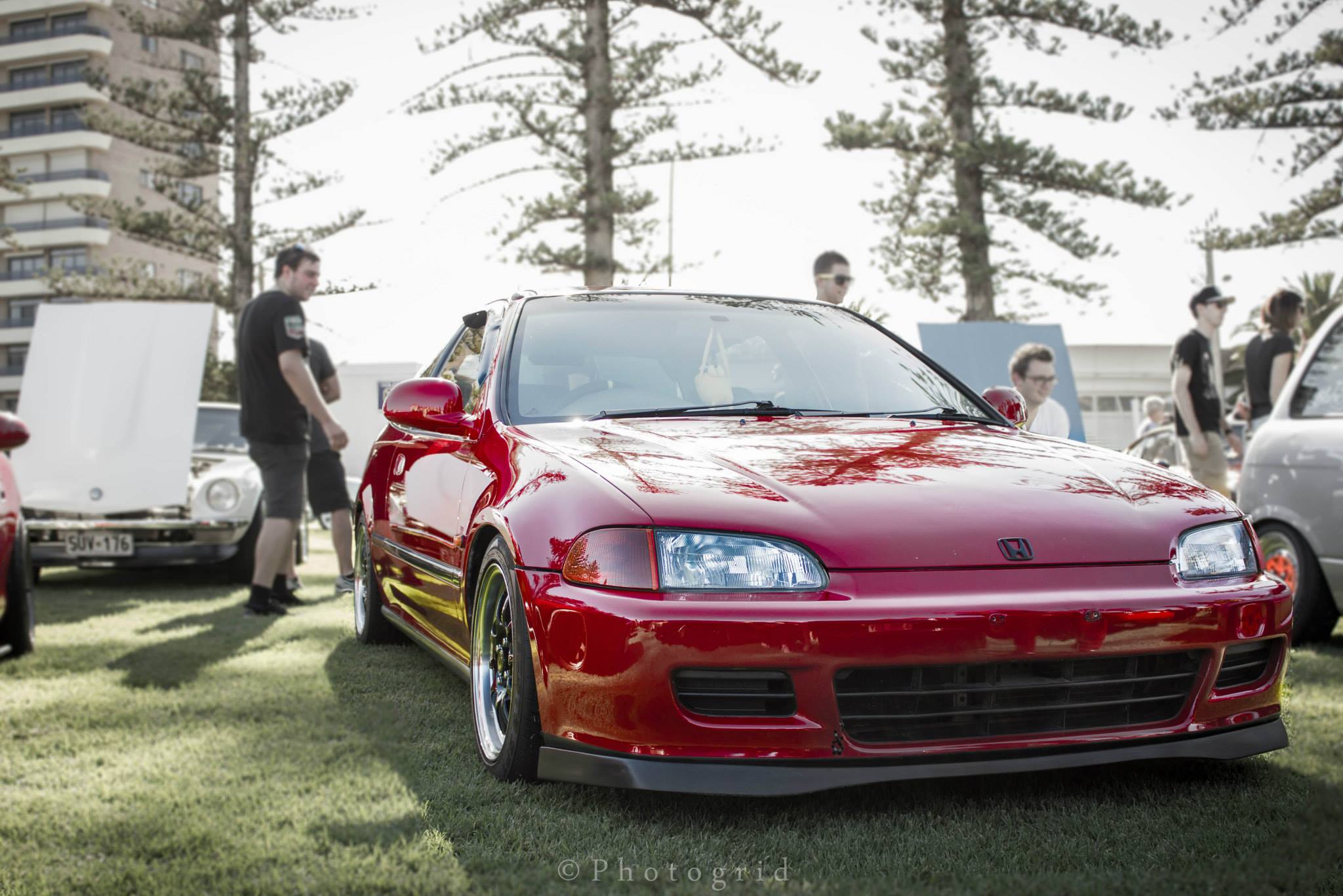 1995 Honda Civic photo