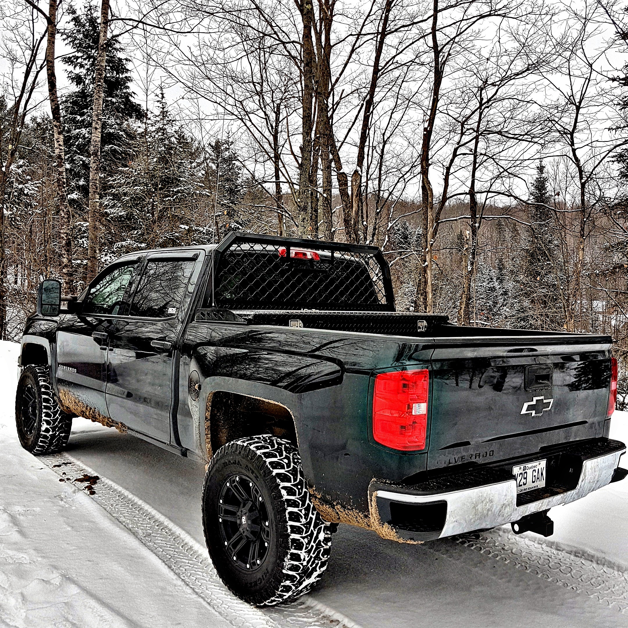 2015 Chevrolet Silverado 1500 photo