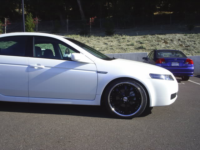2005 Acura TL photo