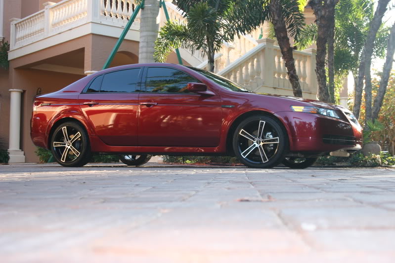 2008 Acura TL photo