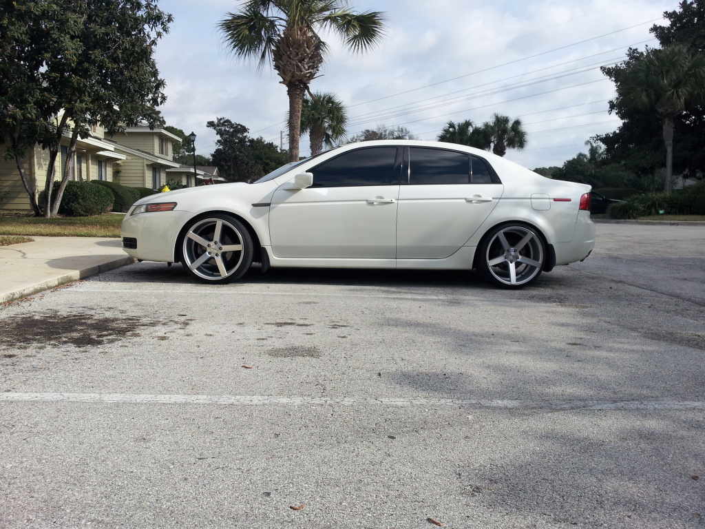2008 Acura TL photo