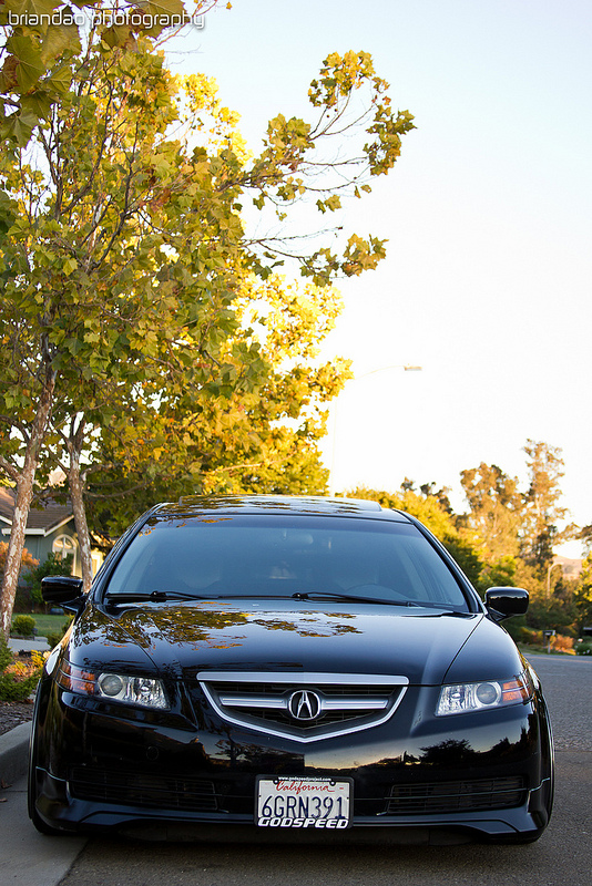 2008 Acura TL photo