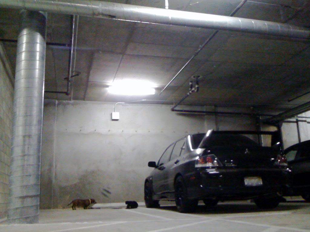 2008 Mitsubishi Lancer Evolution photo