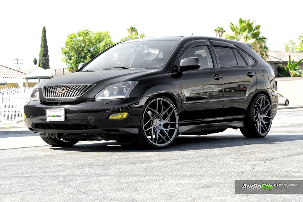 2004 Lexus RX 330 photo