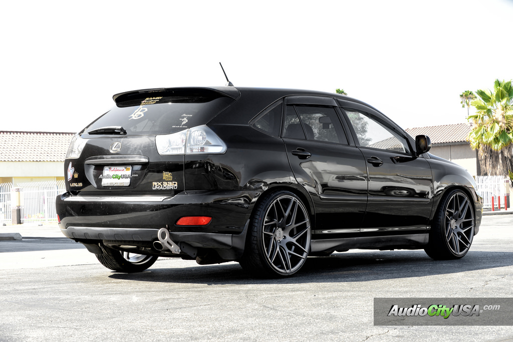 2004 Lexus RX 330 photo