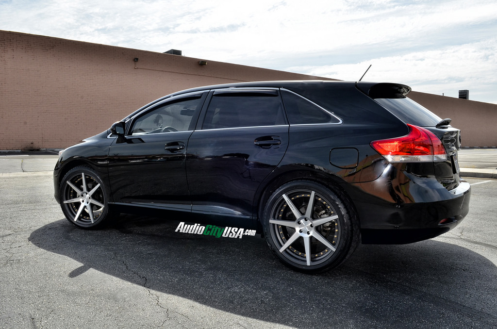 2010 Toyota Venza photo