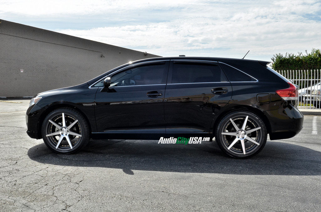 2010 Toyota Venza photo