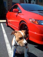 2006 Honda Civic