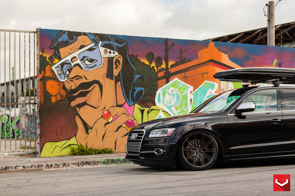 2015 Audi SQ5 photo