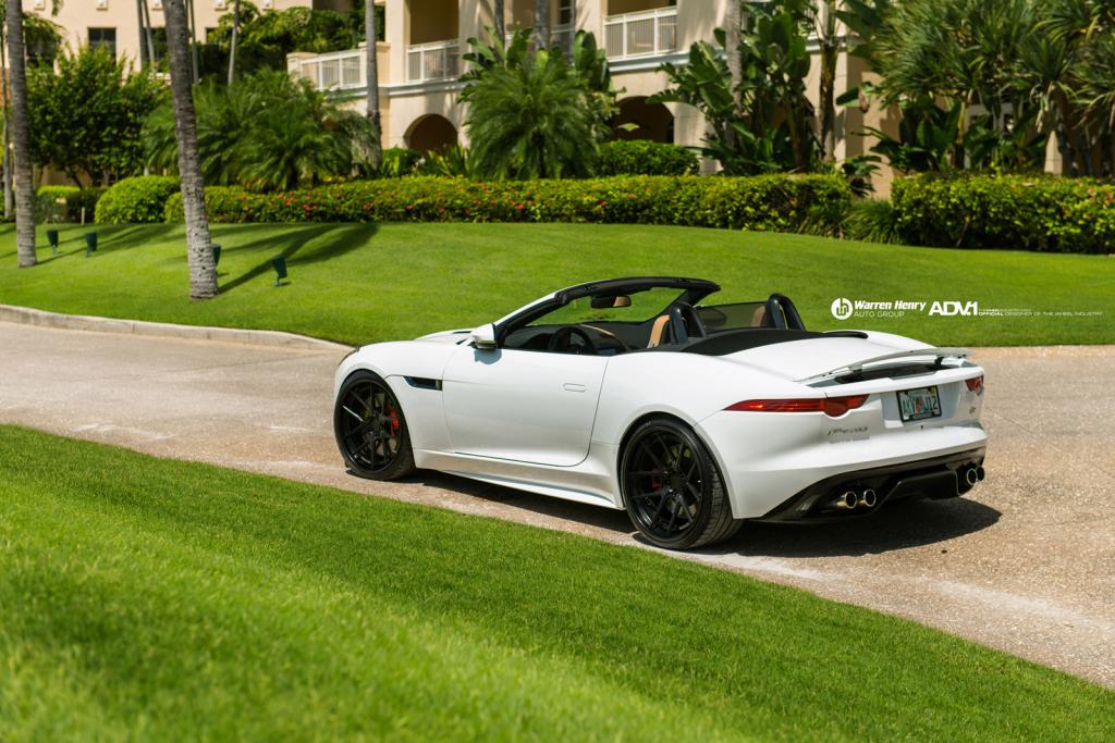 2014 Jaguar F-TYPE photo
