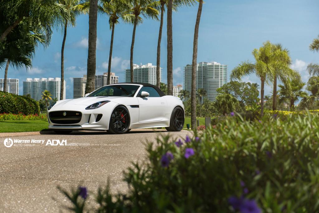 2014 Jaguar F-TYPE photo