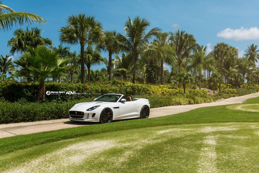 2014 Jaguar F-TYPE photo