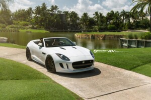 2014 Jaguar F-TYPE