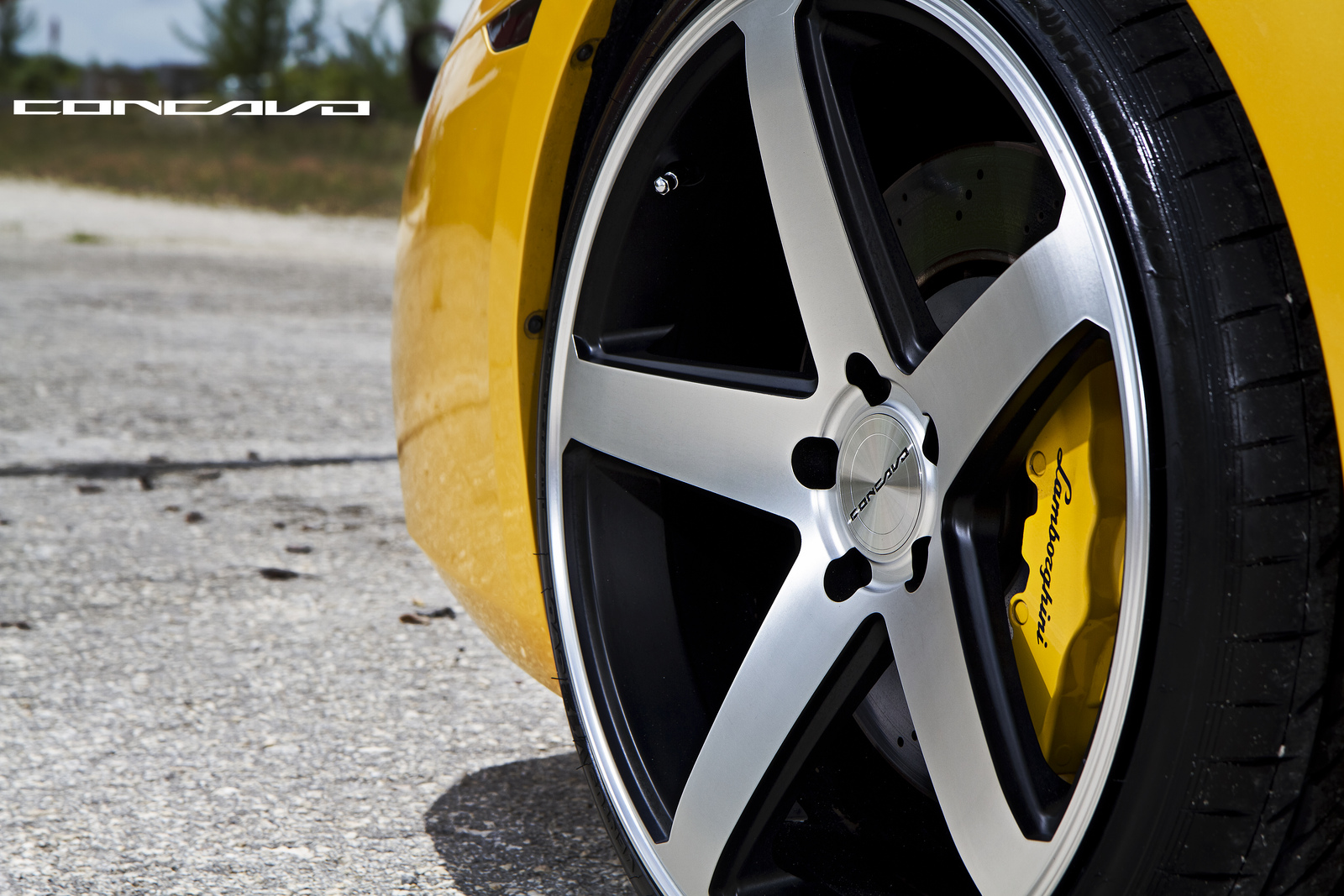 2011 Lamborghini Gallardo photo