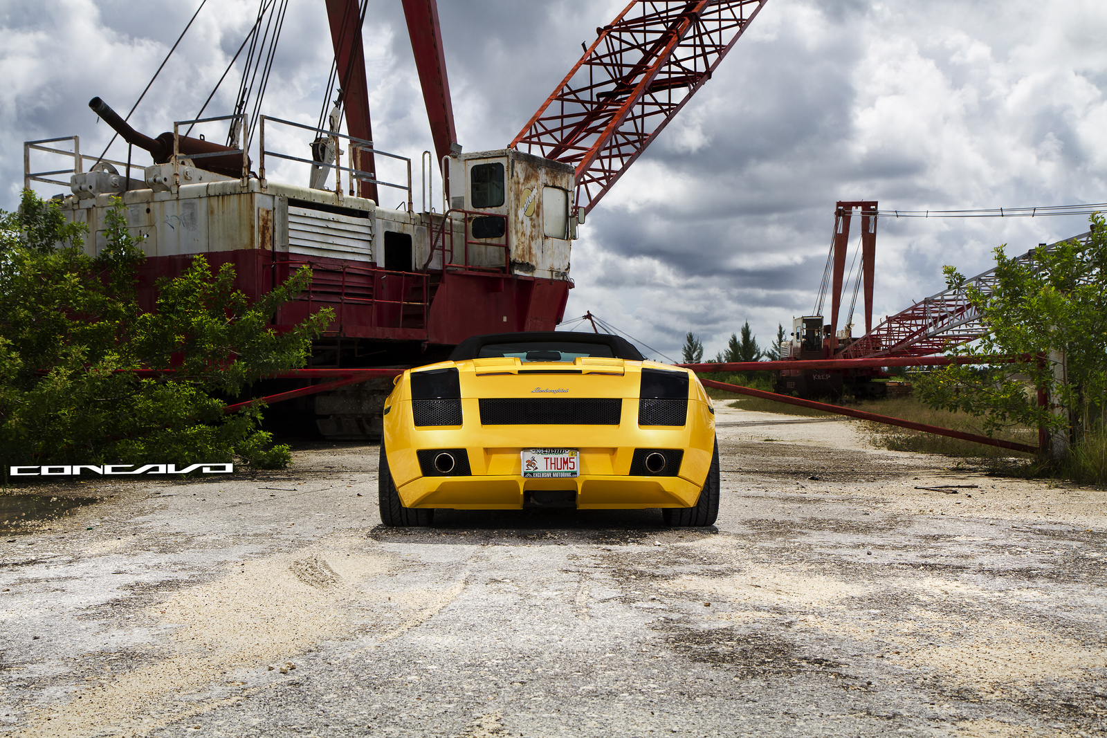 2011 Lamborghini Gallardo photo