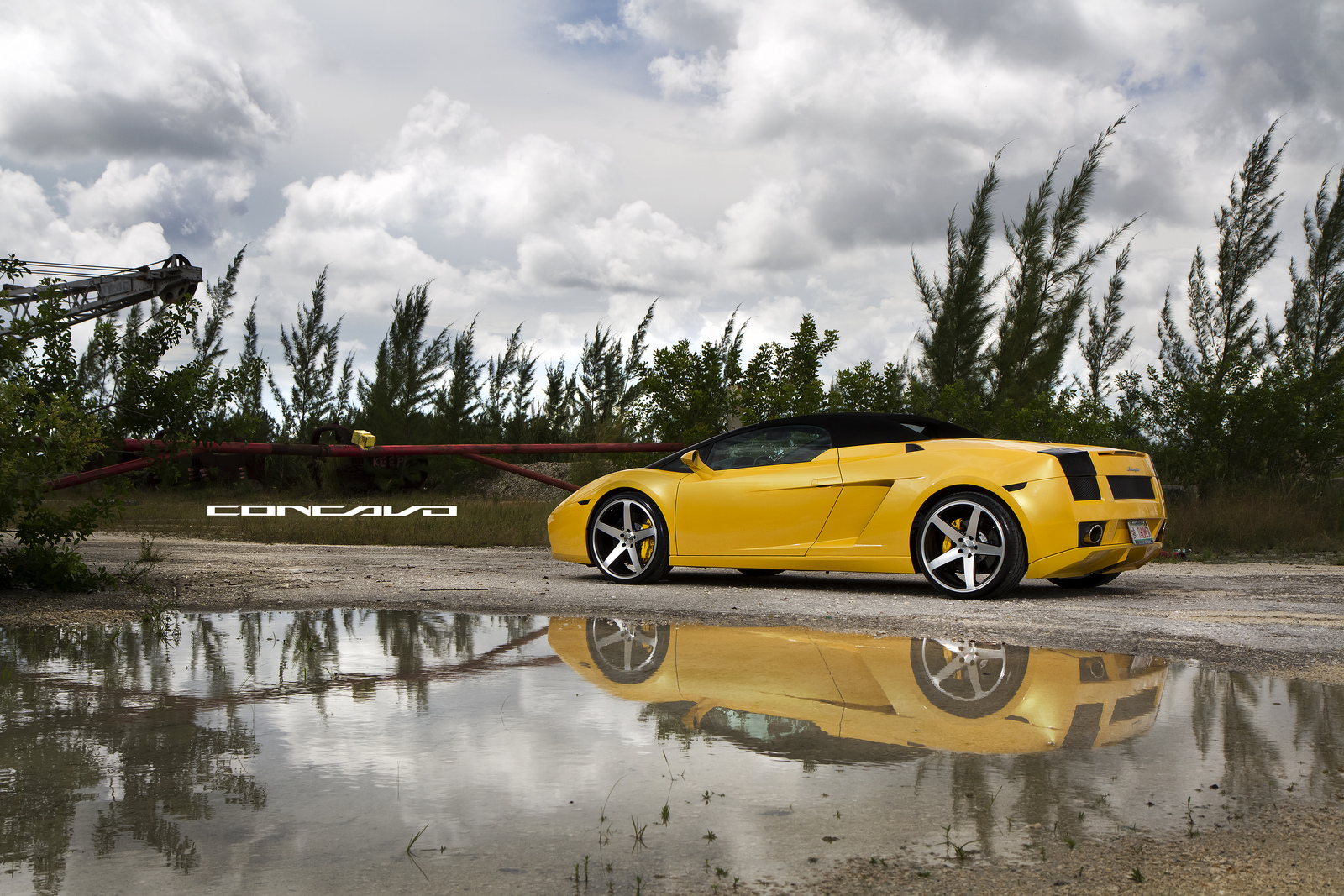 2011 Lamborghini Gallardo photo