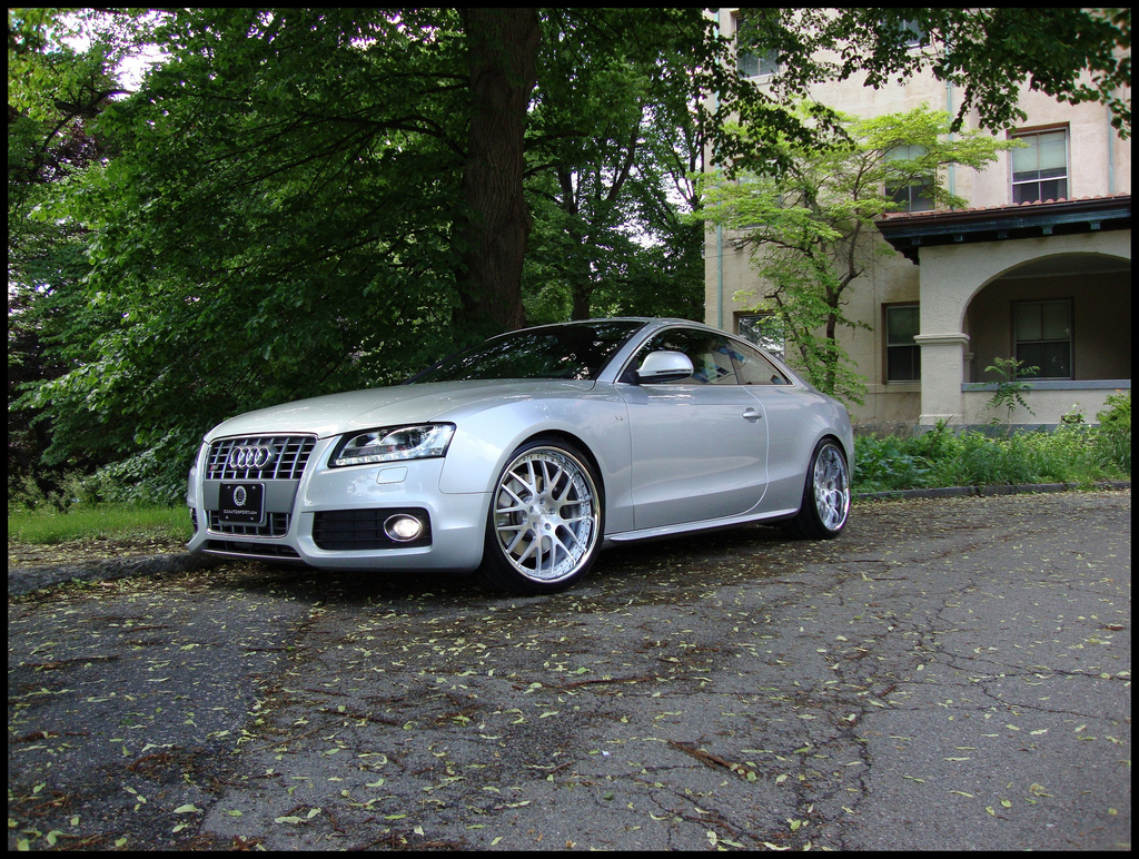 2008 Audi S5 photo