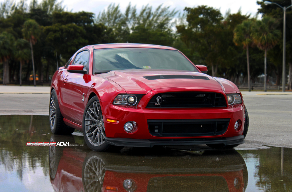 2014 Ford Shelby GT500 photo