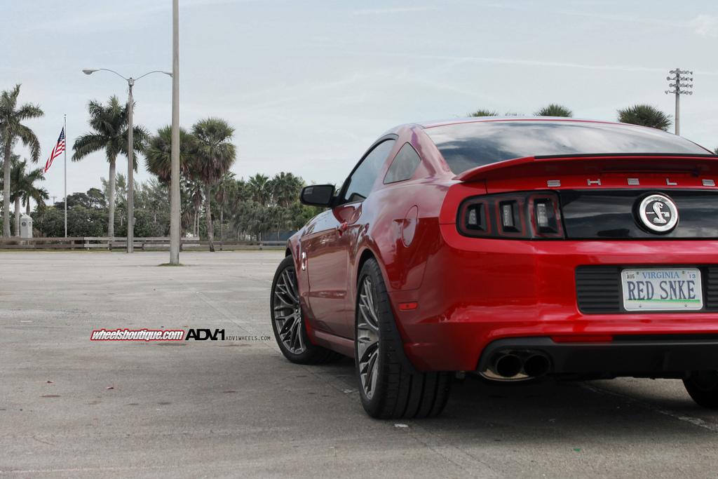 2014 Ford Shelby GT500 photo