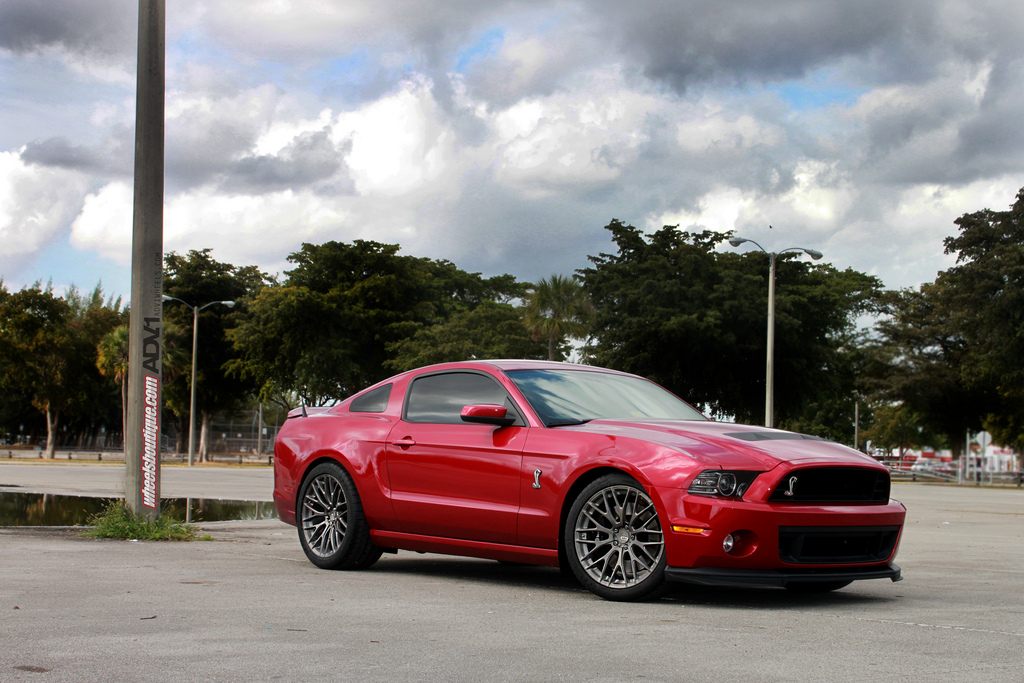 2014 Ford Shelby GT500 photo