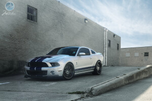 2013 Ford Shelby GT500