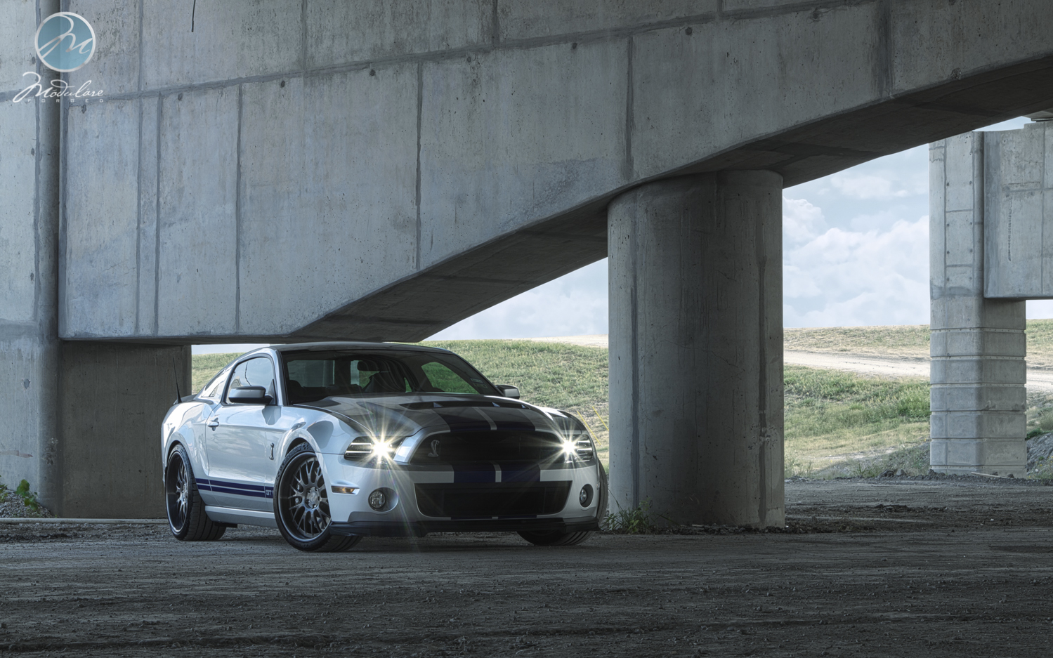 2013 Ford Shelby GT500 photo