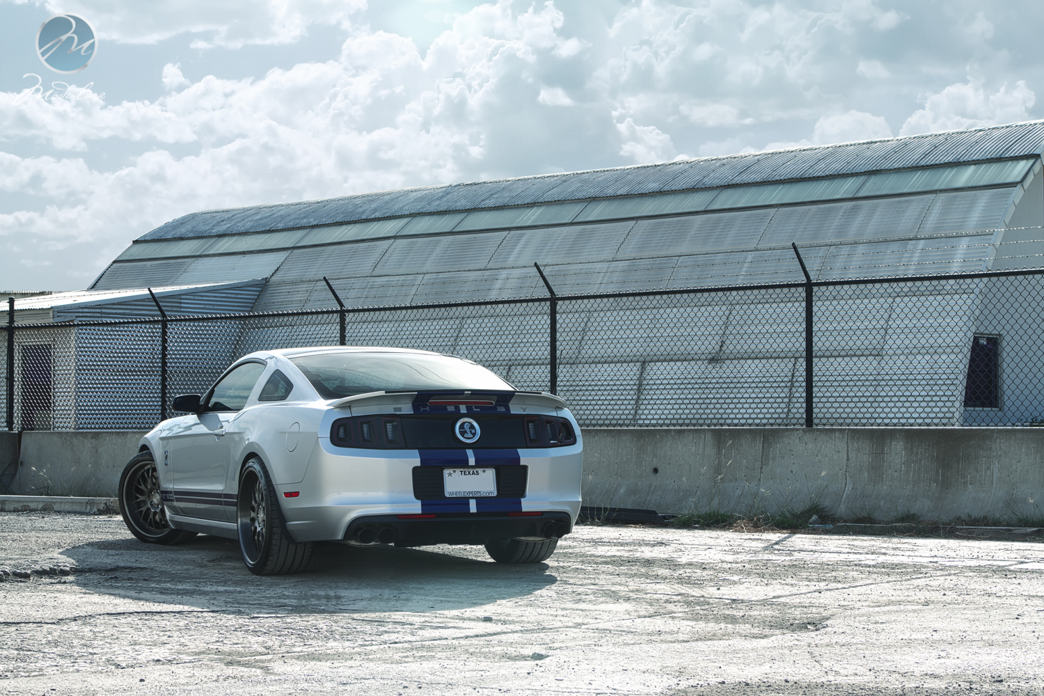 2013 Ford Shelby GT500 photo