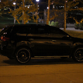 2009 Acura MDX