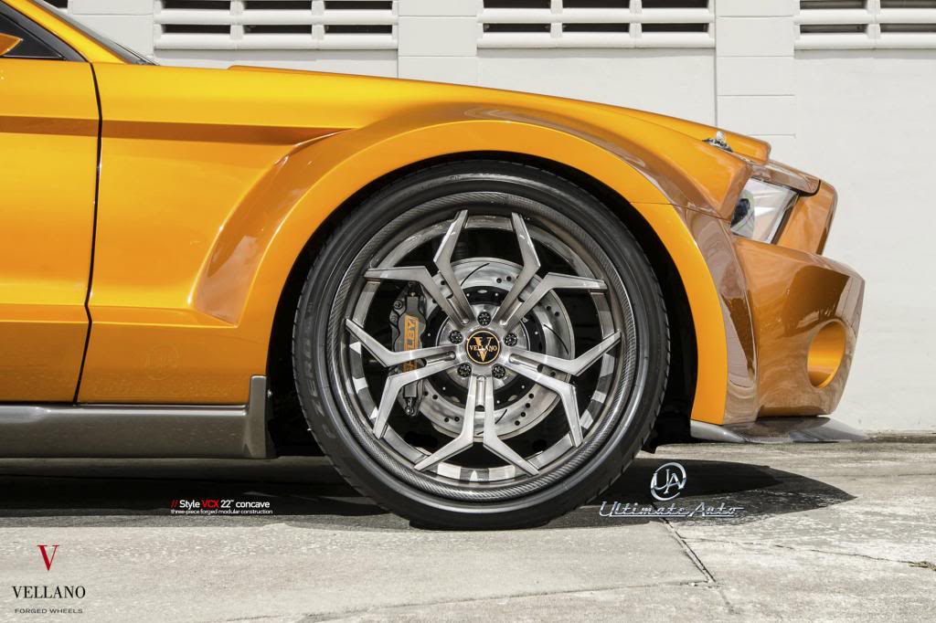 2013 Ford Shelby GT500 photo