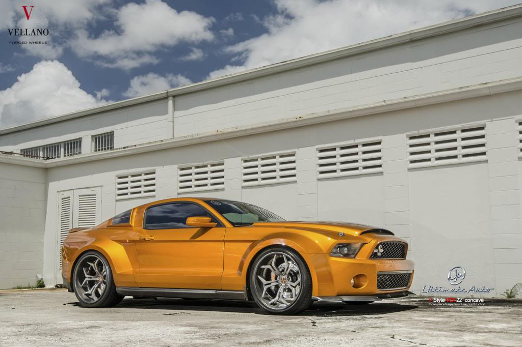 2013 Ford Shelby GT500 photo